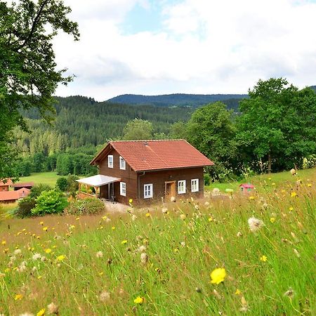 Comfort Apartment With Balcony In The Beautiful Bavarian Forest Drachselsried Exteriör bild