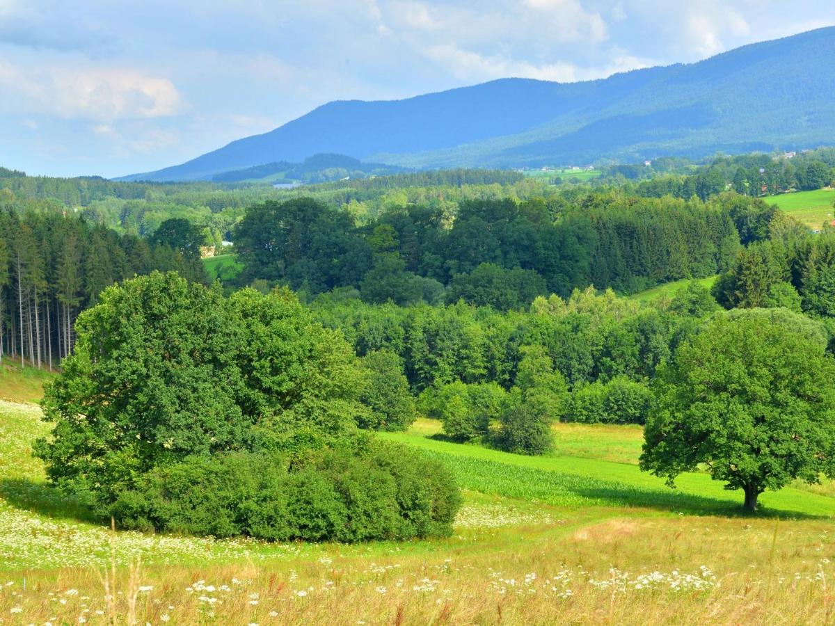 Comfort Apartment With Balcony In The Beautiful Bavarian Forest Drachselsried Rum bild