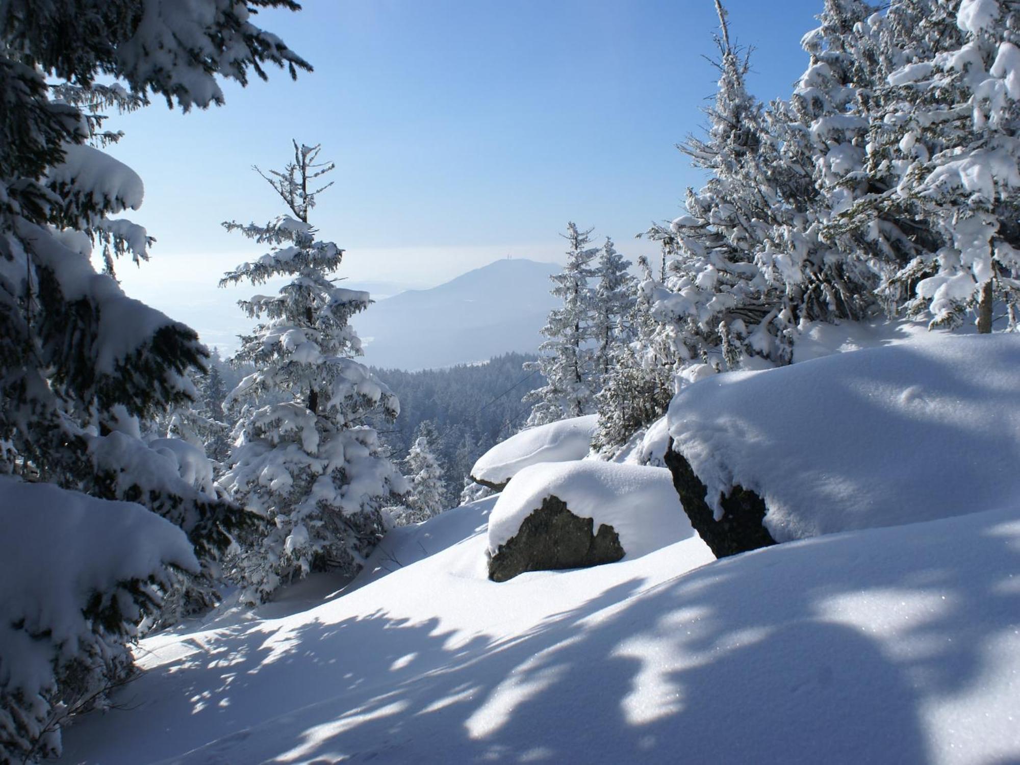 Comfort Apartment With Balcony In The Beautiful Bavarian Forest Drachselsried Exteriör bild