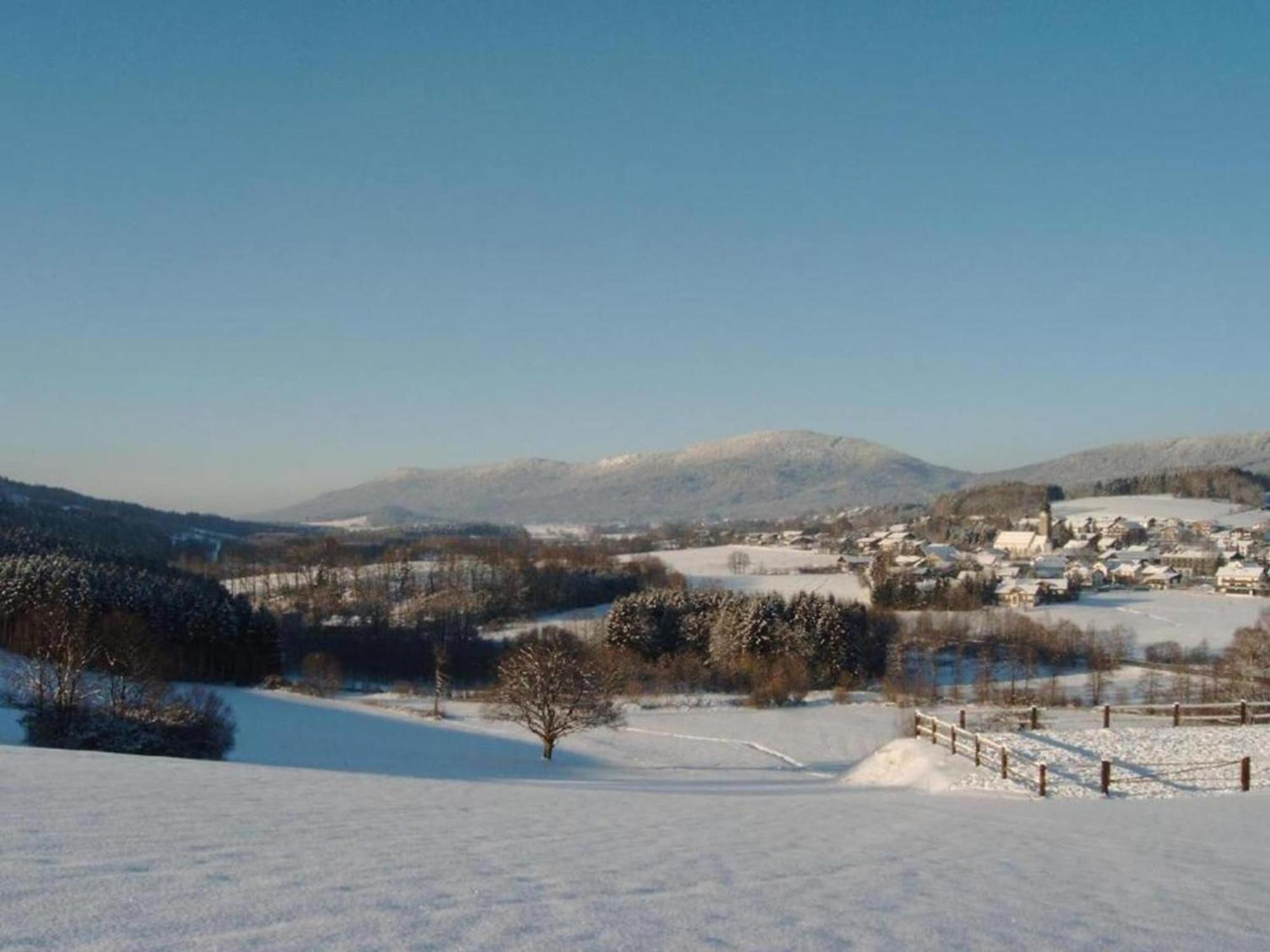 Comfort Apartment With Balcony In The Beautiful Bavarian Forest Drachselsried Exteriör bild