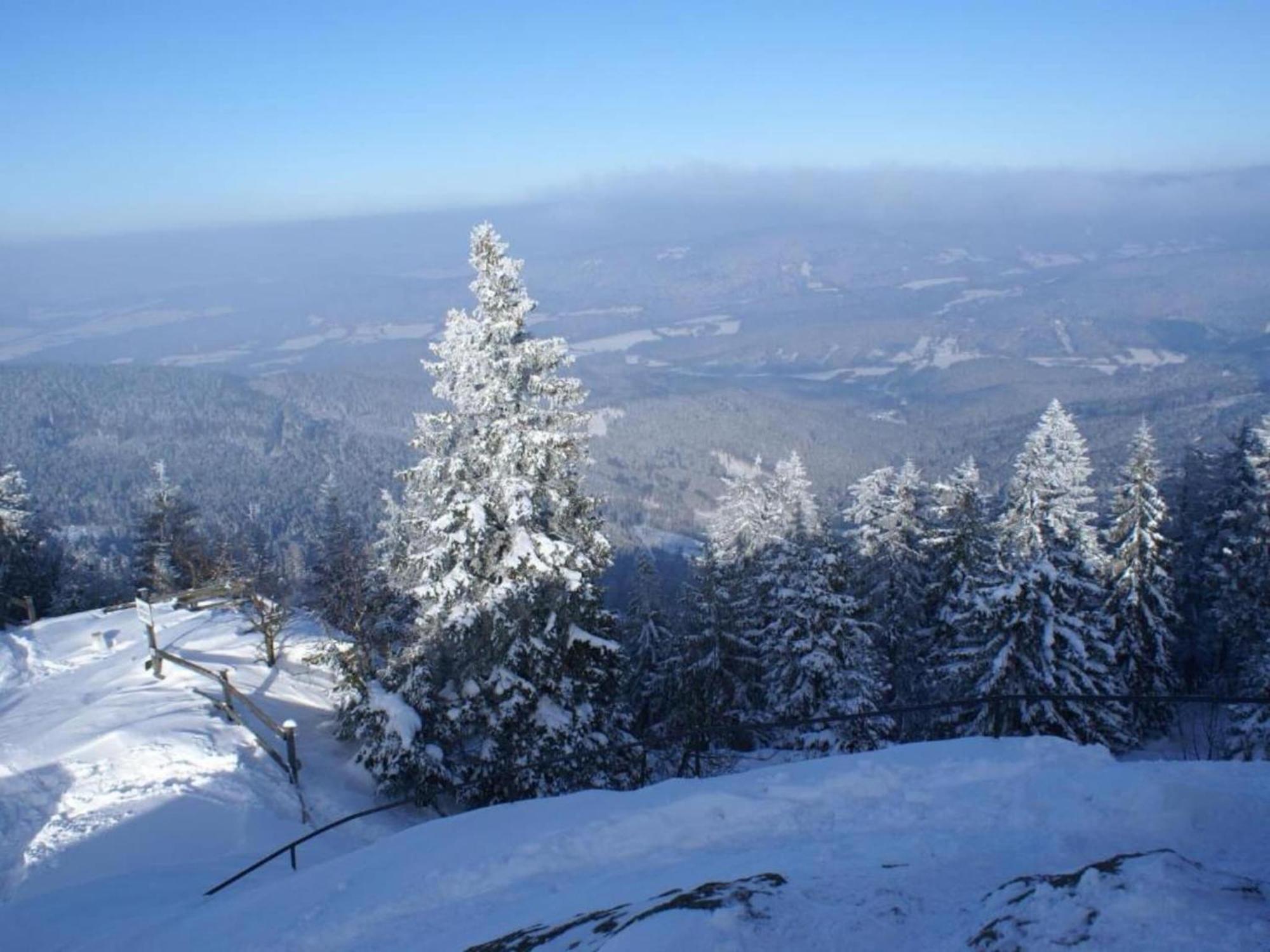 Comfort Apartment With Balcony In The Beautiful Bavarian Forest Drachselsried Exteriör bild