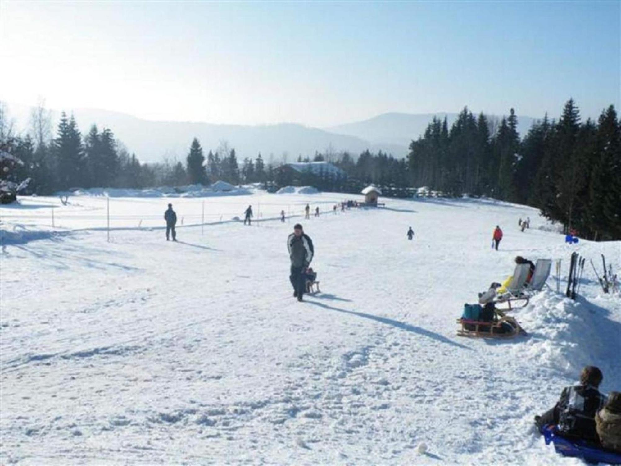 Comfort Apartment With Balcony In The Beautiful Bavarian Forest Drachselsried Exteriör bild