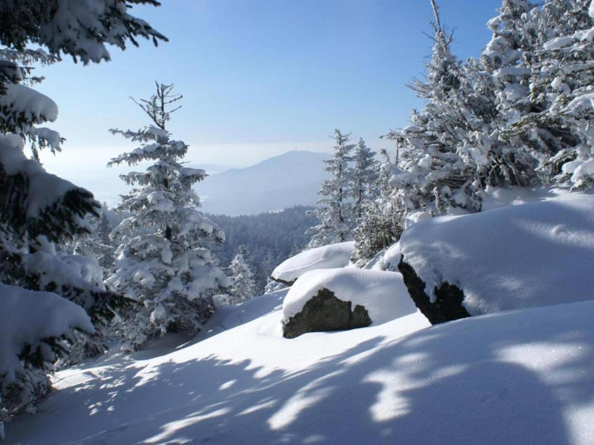 Comfort Apartment With Balcony In The Beautiful Bavarian Forest Drachselsried Exteriör bild