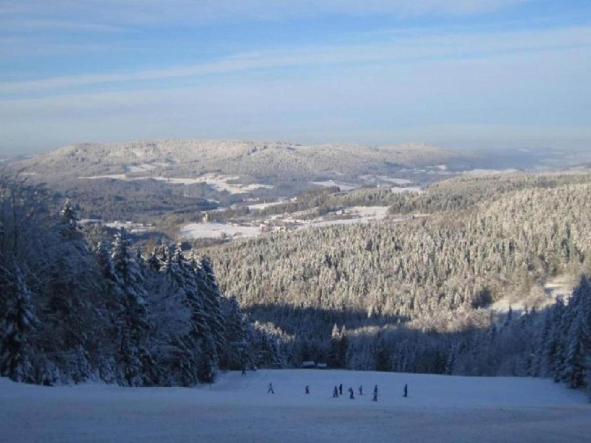 Comfort Apartment With Balcony In The Beautiful Bavarian Forest Drachselsried Exteriör bild