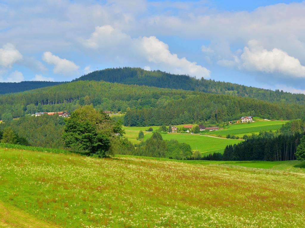 Comfort Apartment With Balcony In The Beautiful Bavarian Forest Drachselsried Exteriör bild